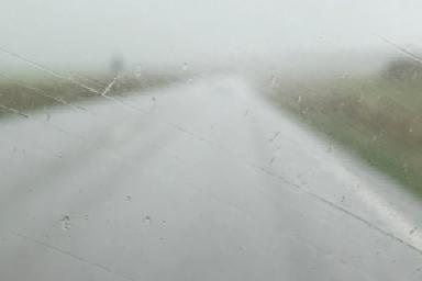 IMG_0856.jpeg IMG_0856.jpeg